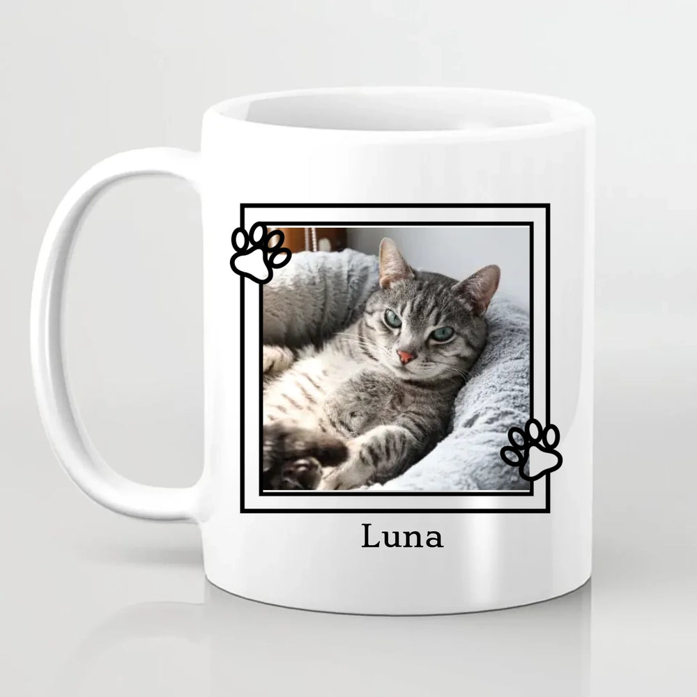 6810c494c1a73_preview