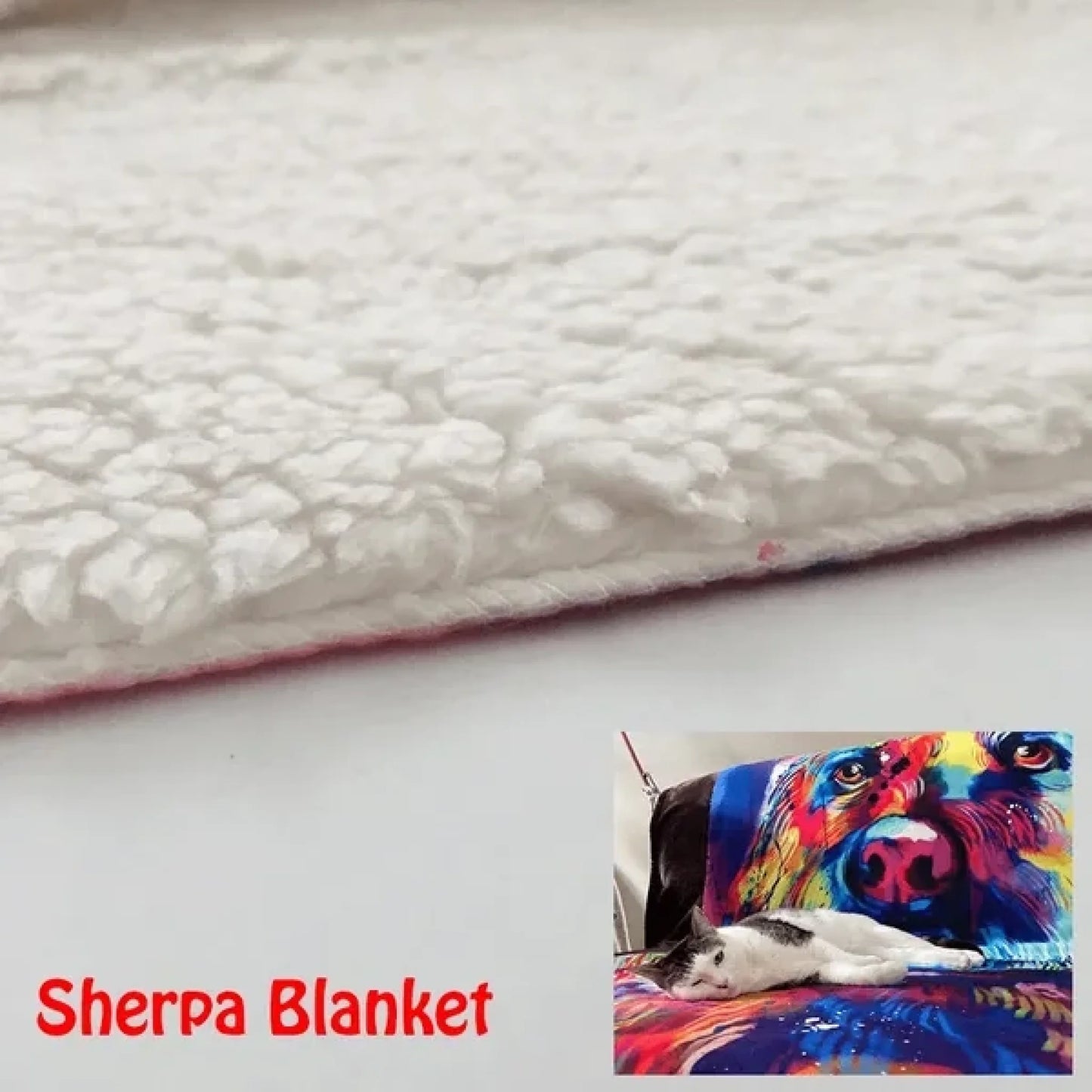 66c55cb829445_large