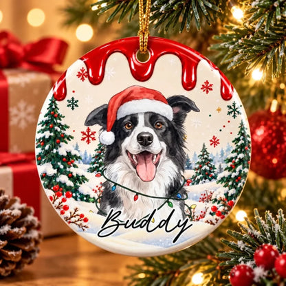 261003_j8y49iF08i6IQMl8_large